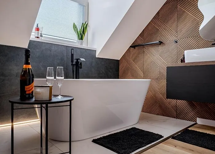 公寓 Loft 新巴尼亚